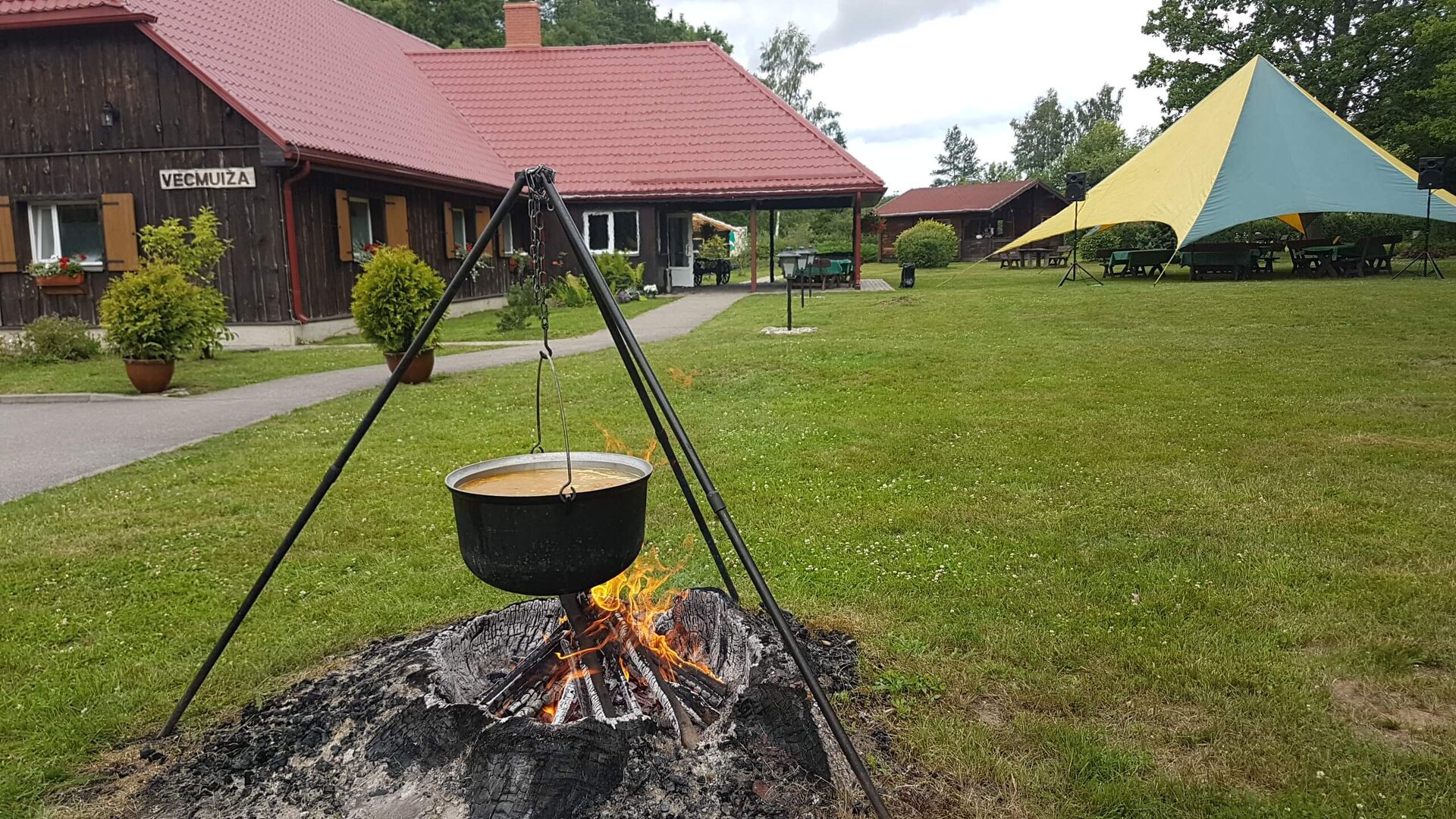Birch tripods and a fire ring set inside a pine grove